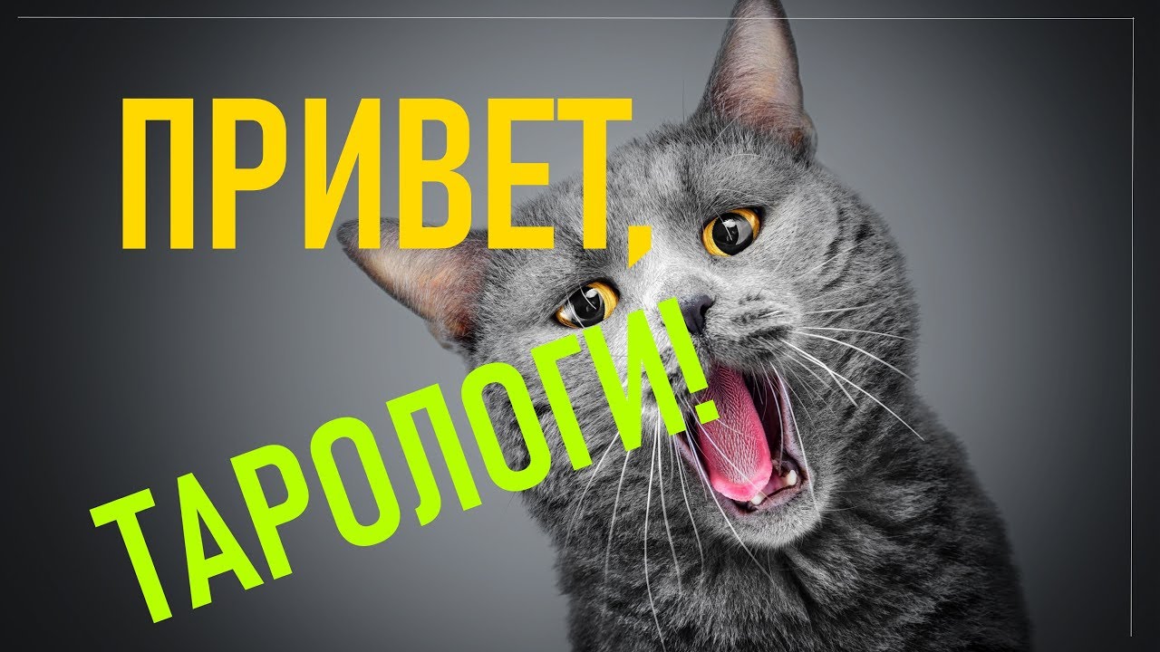 Привет, тарологи, и не только! О чём канал? Сейчас расскажу.