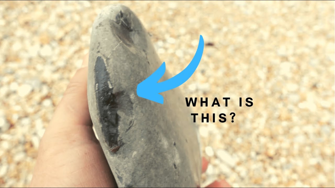 Fossil Hunting In Charmouth