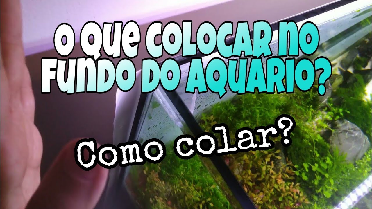 Qual fundo colocar no aquário? Que cor e qual adesivo? Montagem de Aquário Plantado