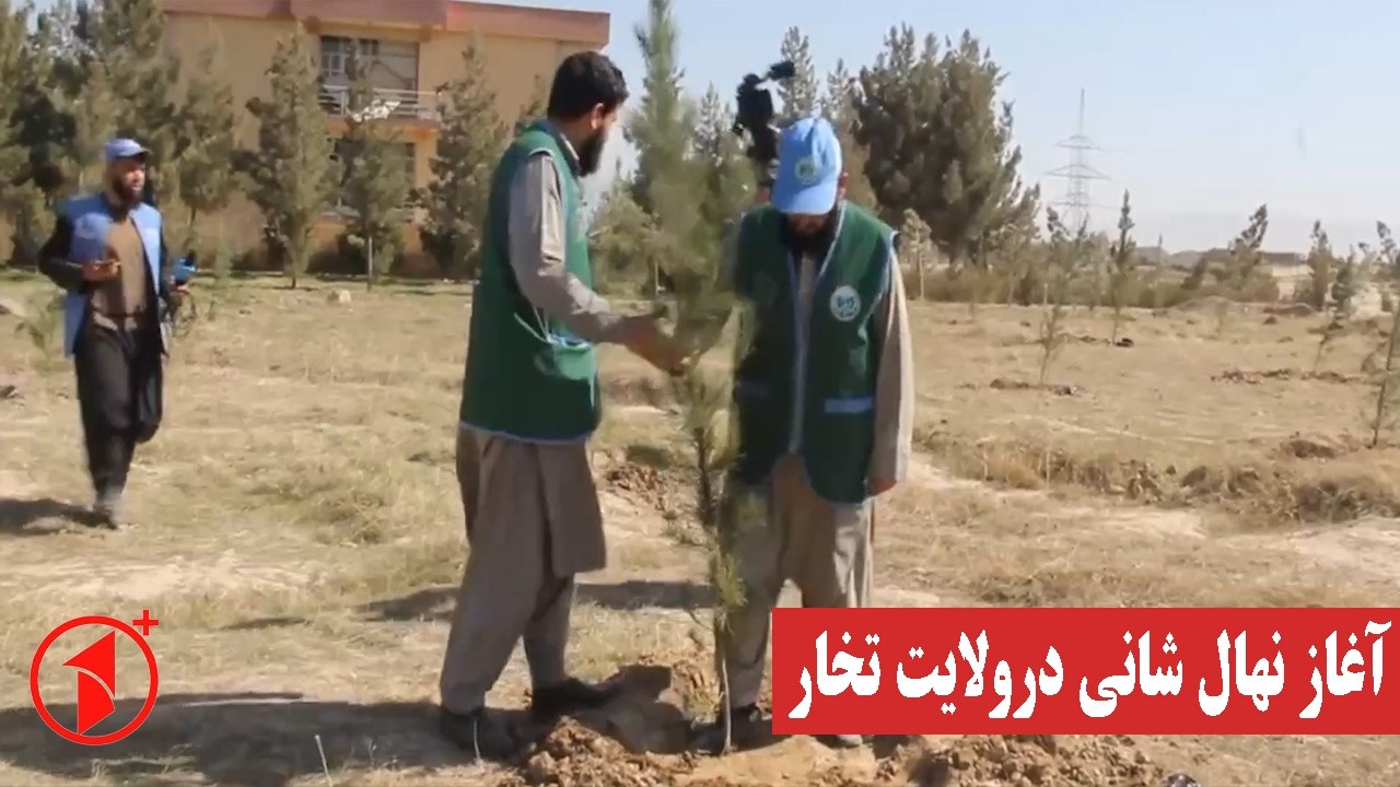 کارزار نهال شانی با شعار احیای زمین، سنت پیامبر اکرم است در ولایت تخار آغاز شد