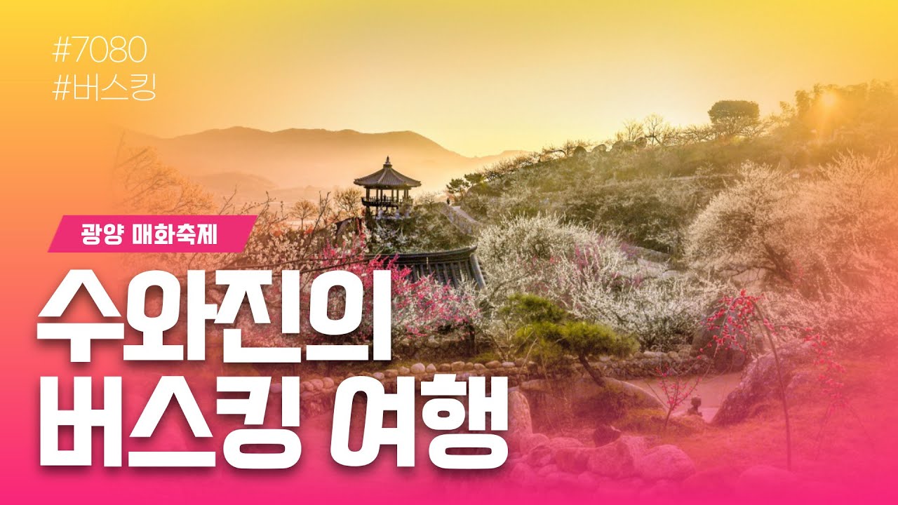 [수와진의 버스킹 여행] #광양매화축제 (3.21)조금씩 매화꽃이 피어나네요 건강들 조심하세요~!