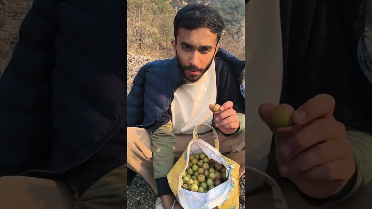 Jungle Mein Awala Dhoondhne Ka Safar | Mehnat Ka Phal Khatta-Meetha | Soul of the Hills