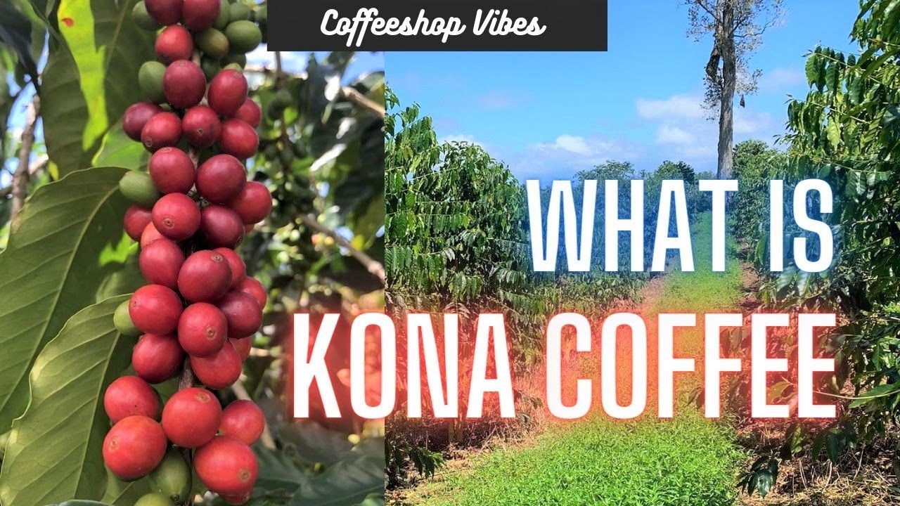 What is Kona Coffee?