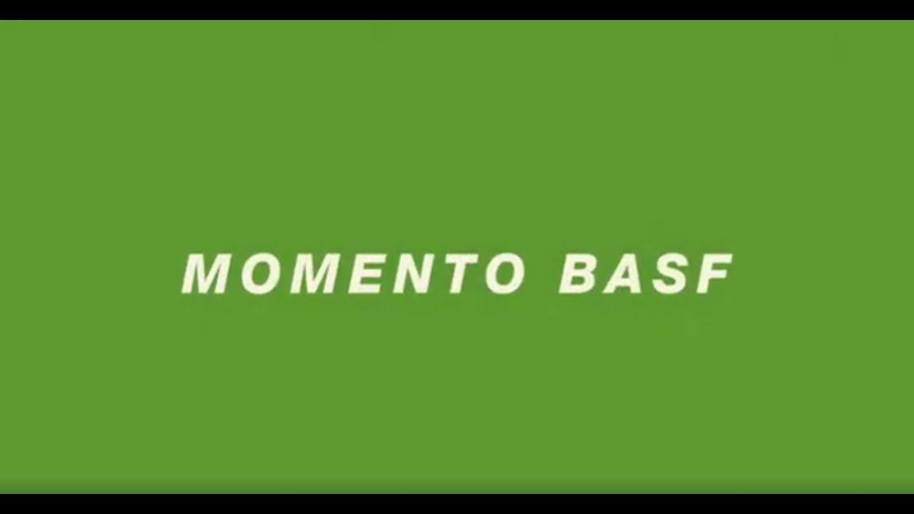 Momento BASF: A importância da dessecação pré-colheita da Soja
