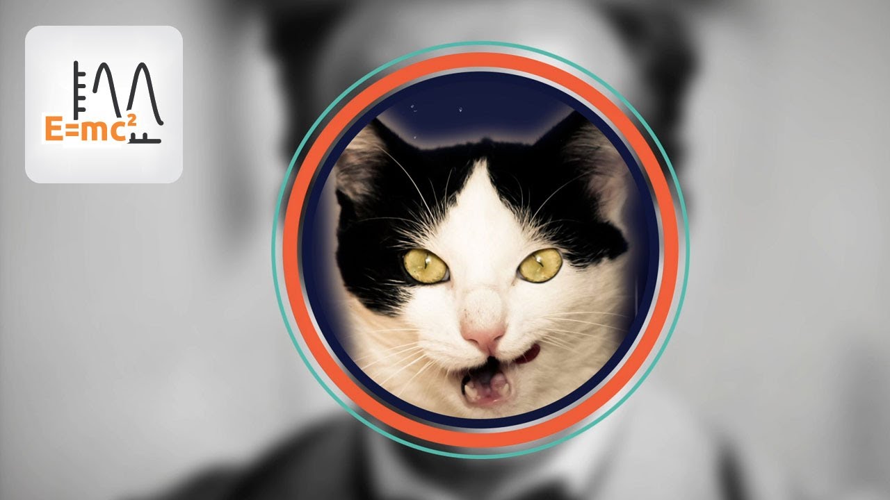 [Les équations Clefs de la physique] L’équation de Schrödinger, #8