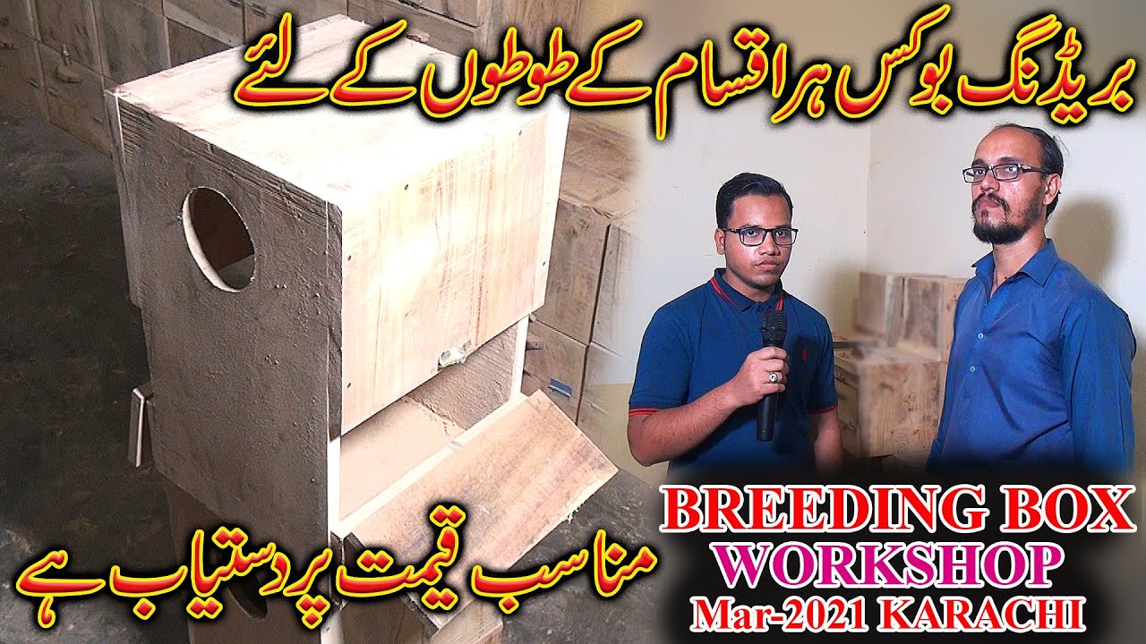 How To Get Breeding Box Nest Box For Birds and Parrots /  Breeding Box Size Measurement Informative