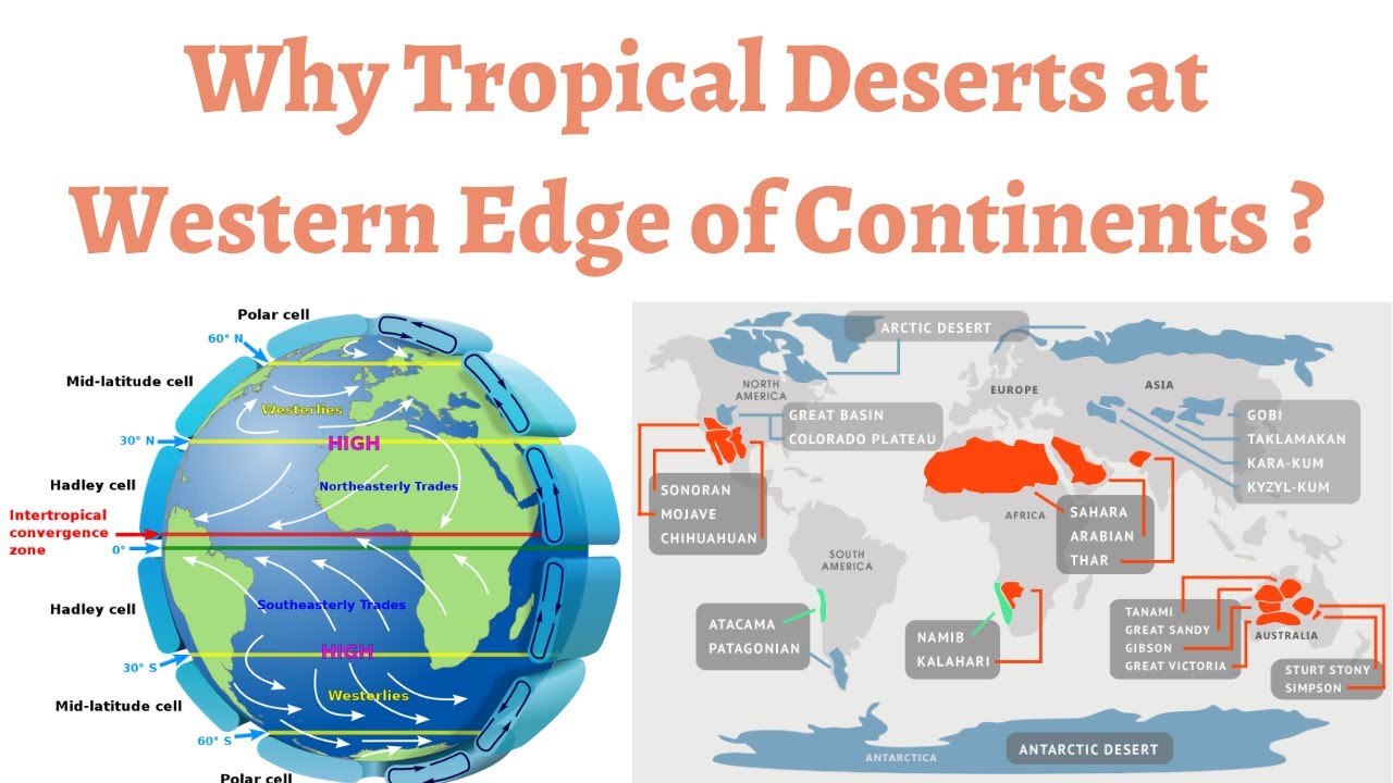 How Tropical Deserts are Formed & Why they are present on the Western Edge of Continents ?