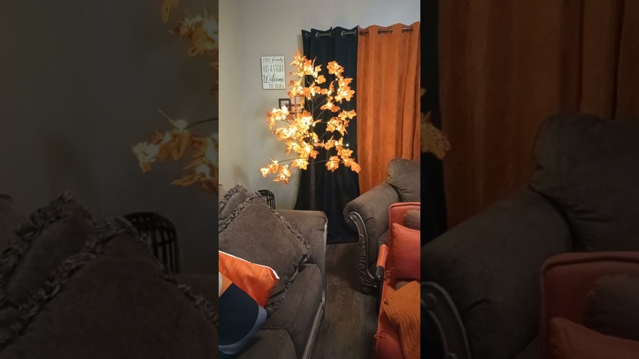  Thank you to those that followed me on my Tiny Home DIY Transformation  Install. 01/10/26