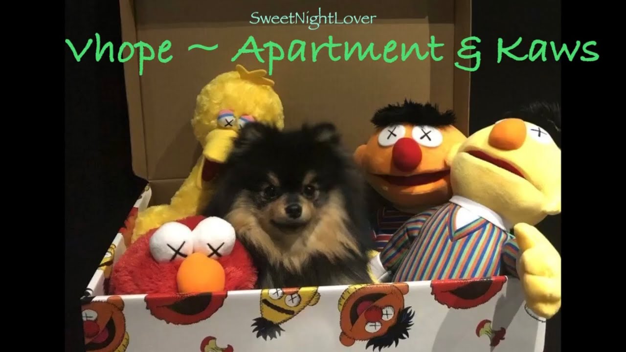 VHOPE - APARTMENT, KAWS ANALYSIS (REUPLOAD)