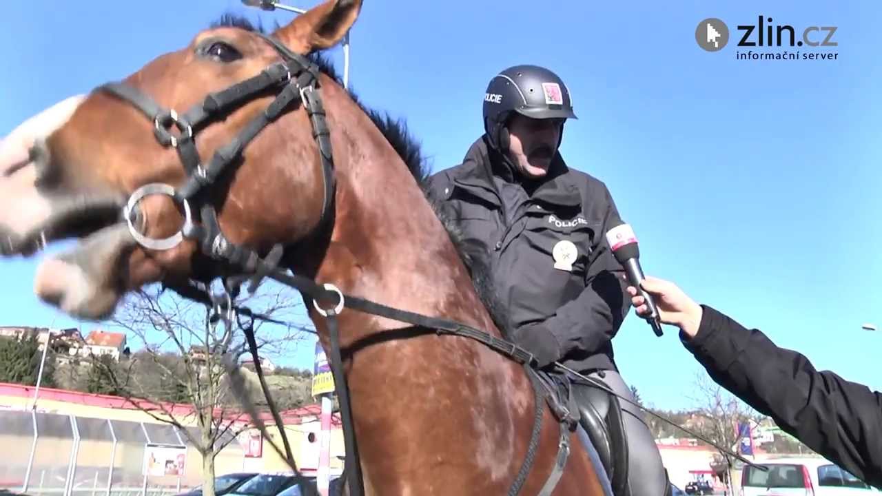 Policejní koně slouží ve Zlíně