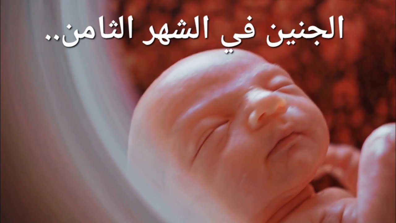 الجنين في الشهر الثامن...