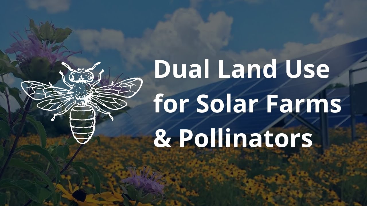 Dual Land Use for Solar Farms & Pollinators