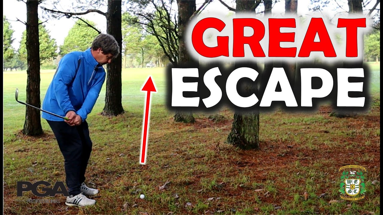 How to Hitting a Low Punch Under Trees - The Right Way