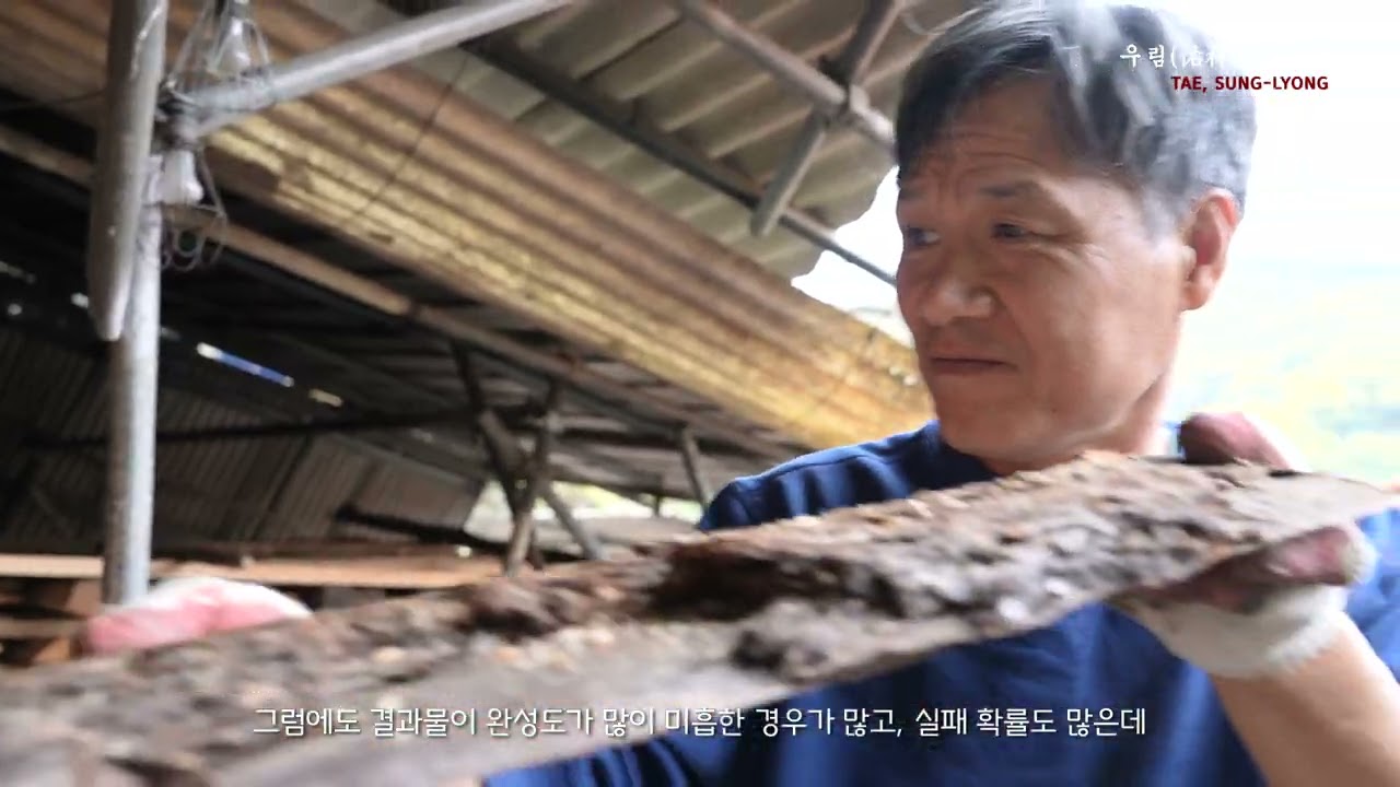 도예가 우림태성룡