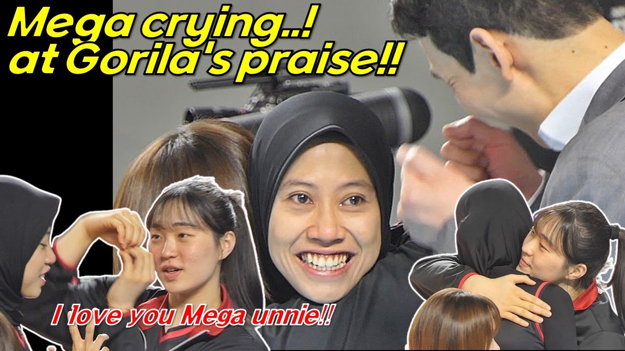 Mega yang meneteskan air mata atas pujian pelatih kepala Gorila!!