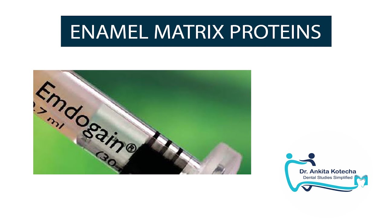 ENAMEL MATRIX PROTEINS| EMDOGAIN| TISSUE ENGINEERING| PERIODONTAL PLASTIC AND ESTHETIC SURGERY