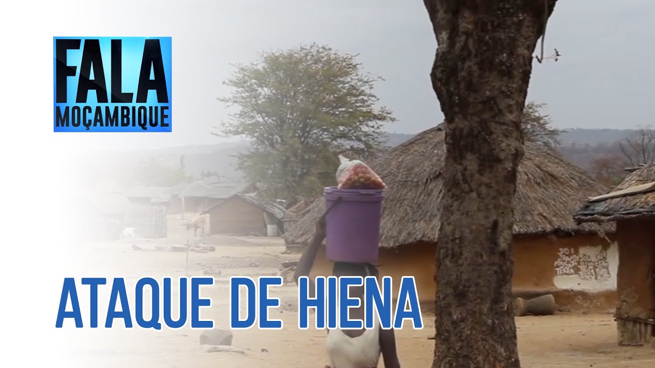 Hiena fere 9 pessoas e mata 10 cabritos no distrito de Moatize