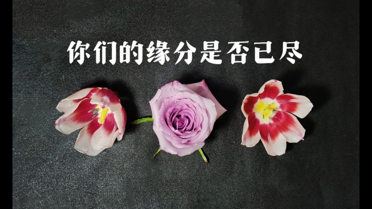 你和他的緣分是否已盡？