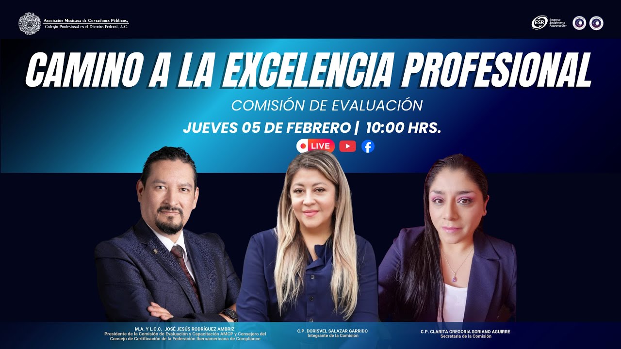 Camino a la excelencia profesional