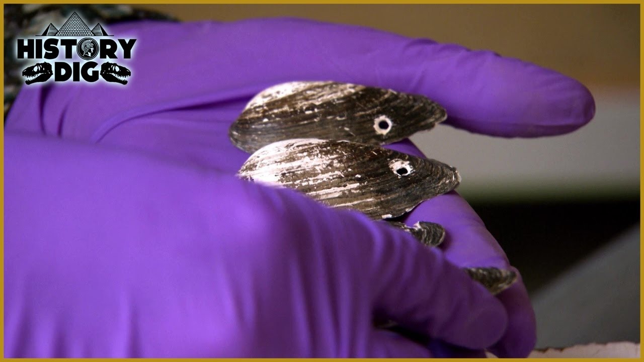 Bronze Age Britain Secrets - Mummies, Mysteries and Lost Civilizations