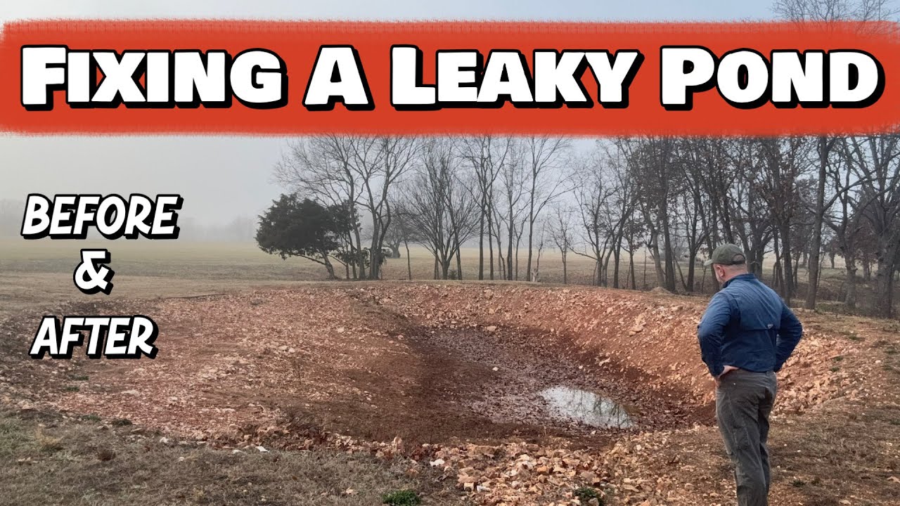 👉 This Pond Wouldn’t Hold Water — Here’s How I Fixed It