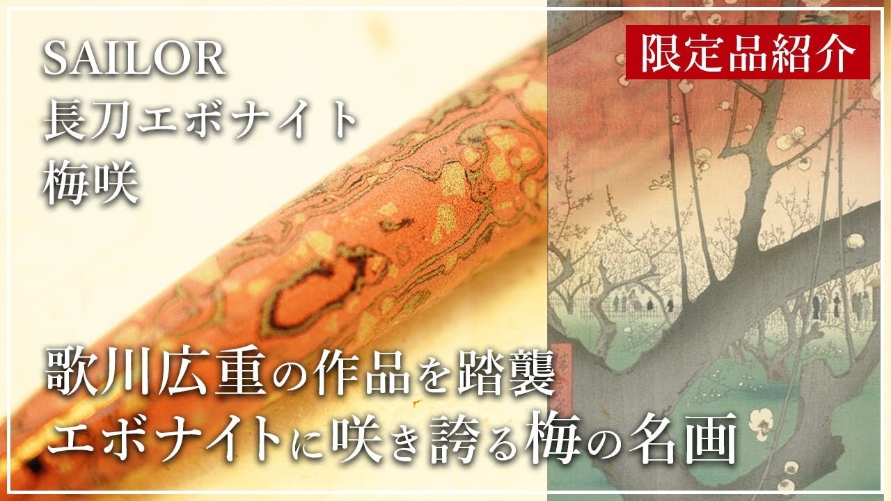 【限定品紹介】セーラー 万年筆 長刀研ぎエボナイト 梅咲 #筆記具 #万年筆 #キングダムノート #文房具 #文具 #fountainpen #japan