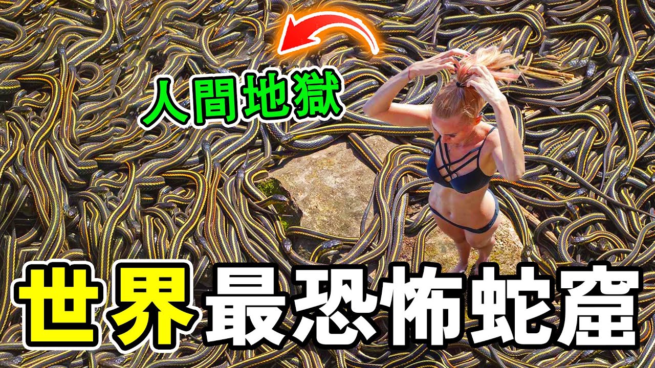 世界上最恐怖的十大蛇窟，每公頃八萬條毒蛇，第一名毒蛇從天而降，堪稱人間地獄！#世界之最 #科普 #熱門 #世界之大