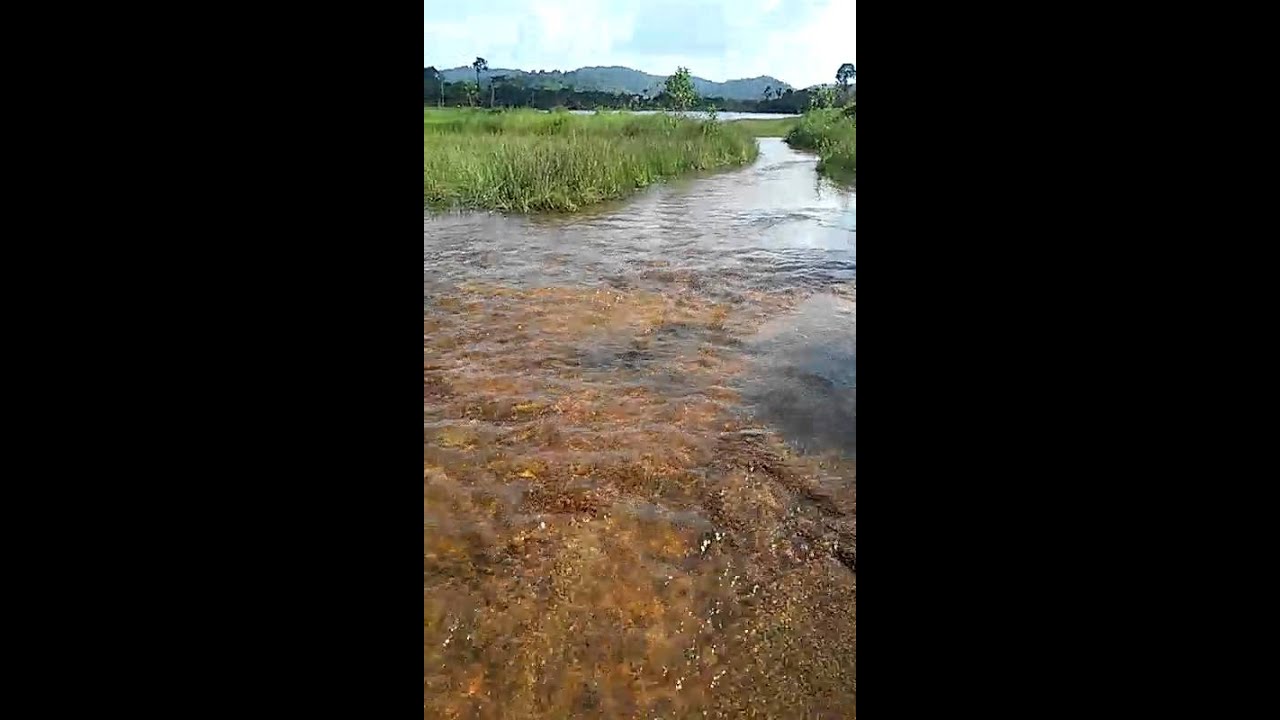 Belezas do Par&aacute;