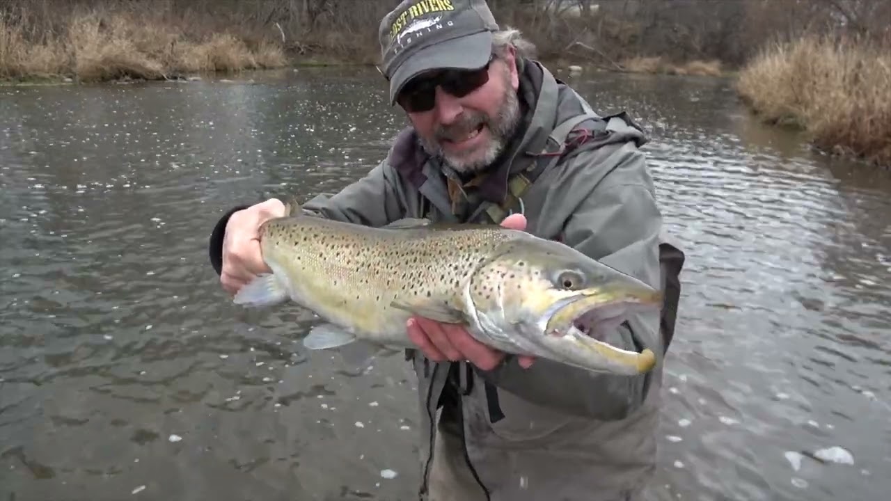 Winter Spey Fishing for Brown Trout