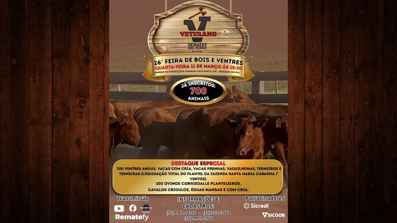 11/03 - 26°FEIRA DE BOIS E VENTRES | 15:30h
