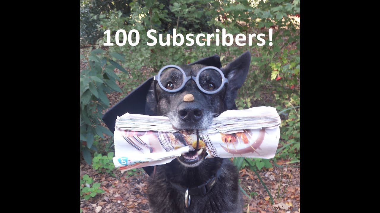 Dog School: Hoe ik mijn hondenschool begonnen ben (100 subscribers special)!