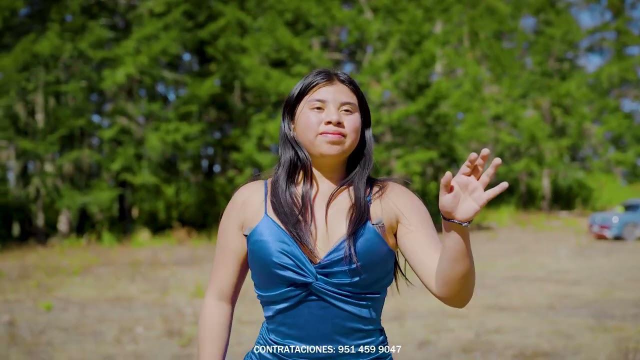 ORGANO JUVENTUD MIXTECO DE TERY QUIROZ (ARBOLITO DEL CAMINO) VIDEO OFICIAL