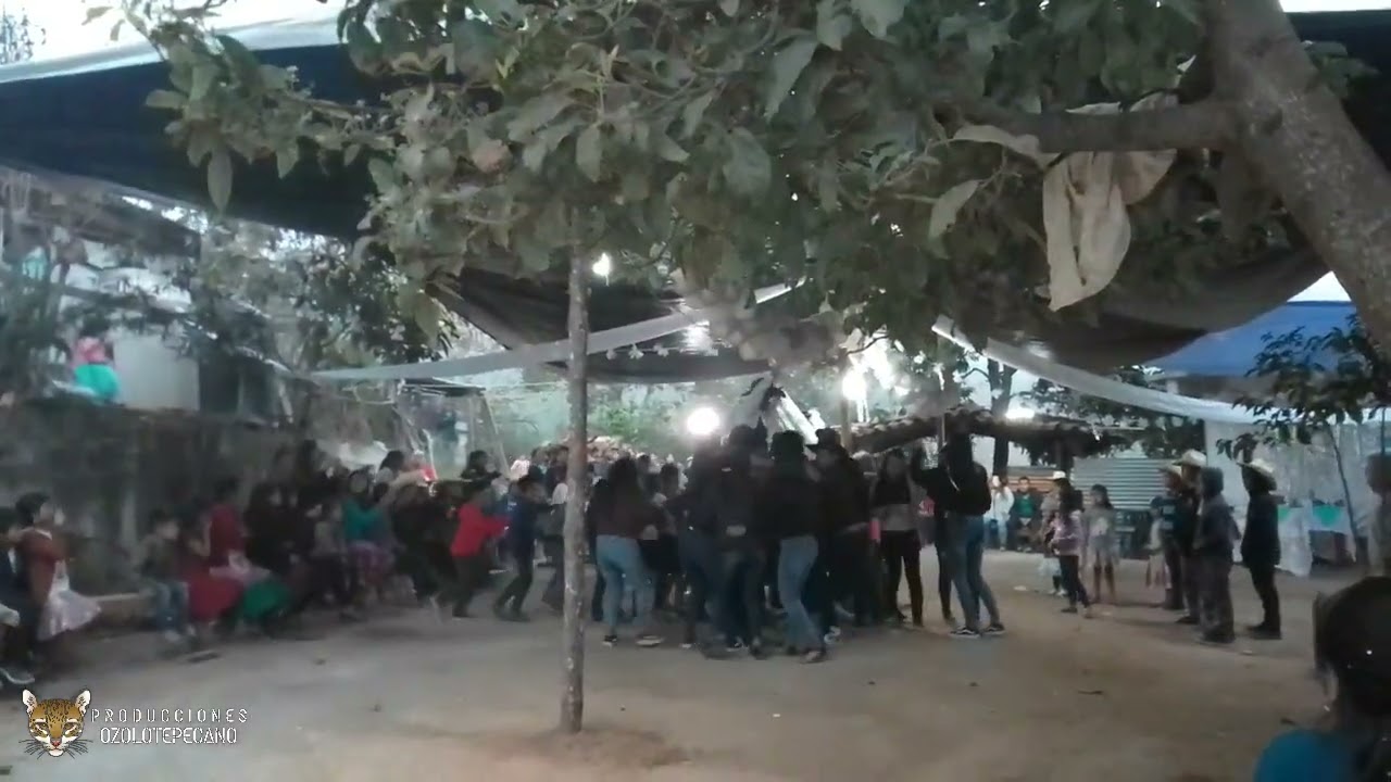 LA VIVORA DE LA MAR  BODA OAXAQUEÑA