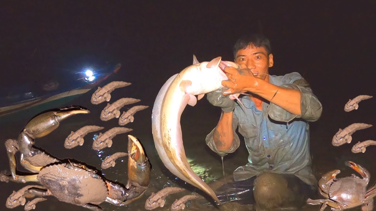 Vô Mánh Một Đêm Bắt Cá Bằng Tay Không Bất Ngờ Gặp Thêm Con Cua Xấu Số
