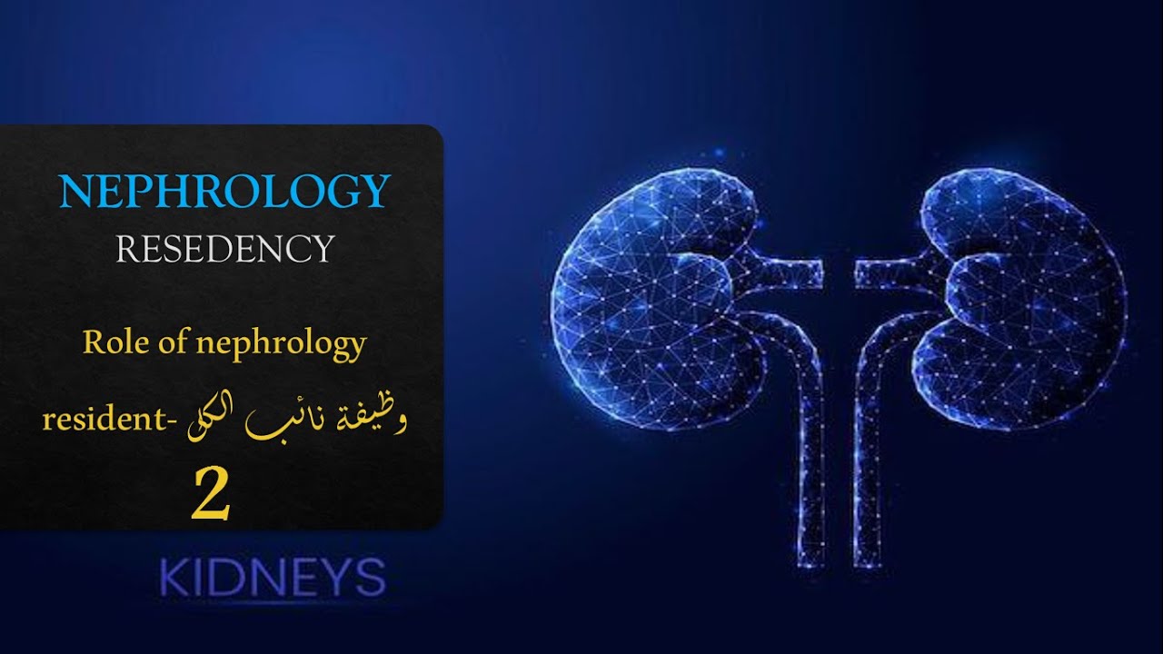 إيه دور نائب الكلى في المستشفى؟ تخصص الكلى