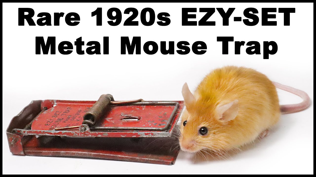 Rare 1920s Ruby Red EZY-SET Metal Mouse Trap Catches Mice In The Barn. Mousetrap Monday
