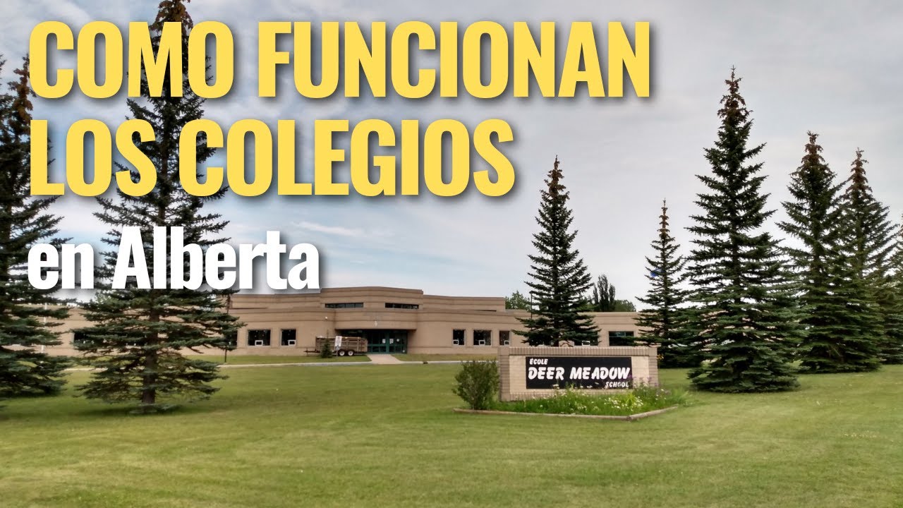 ¿Cómo funcionan los Colegios en Alberta?