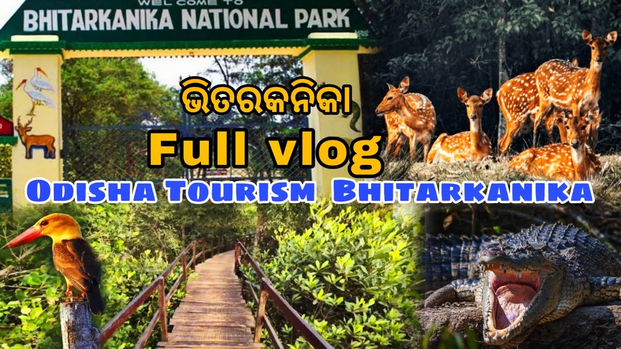 ଭିତରକନିକା full vlog / Bhitarkanika full vlog / 