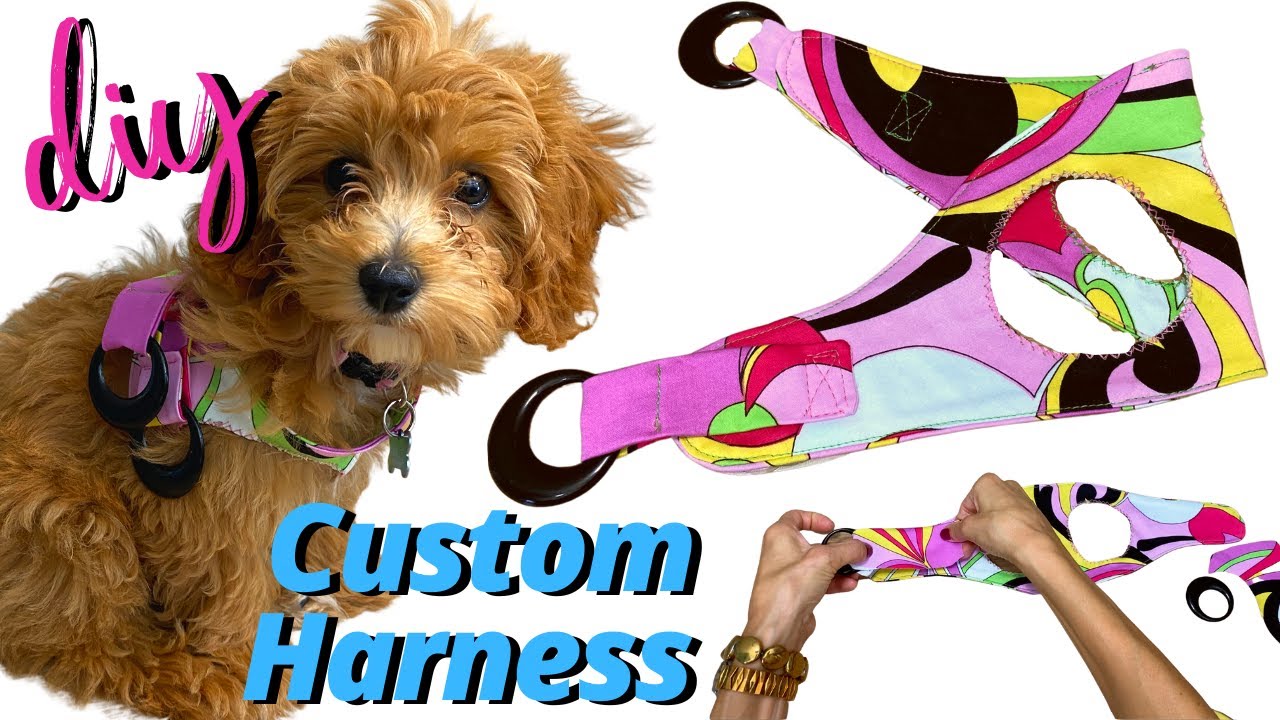 DIY CUSTOM DOG HARNESS TUTORIAL