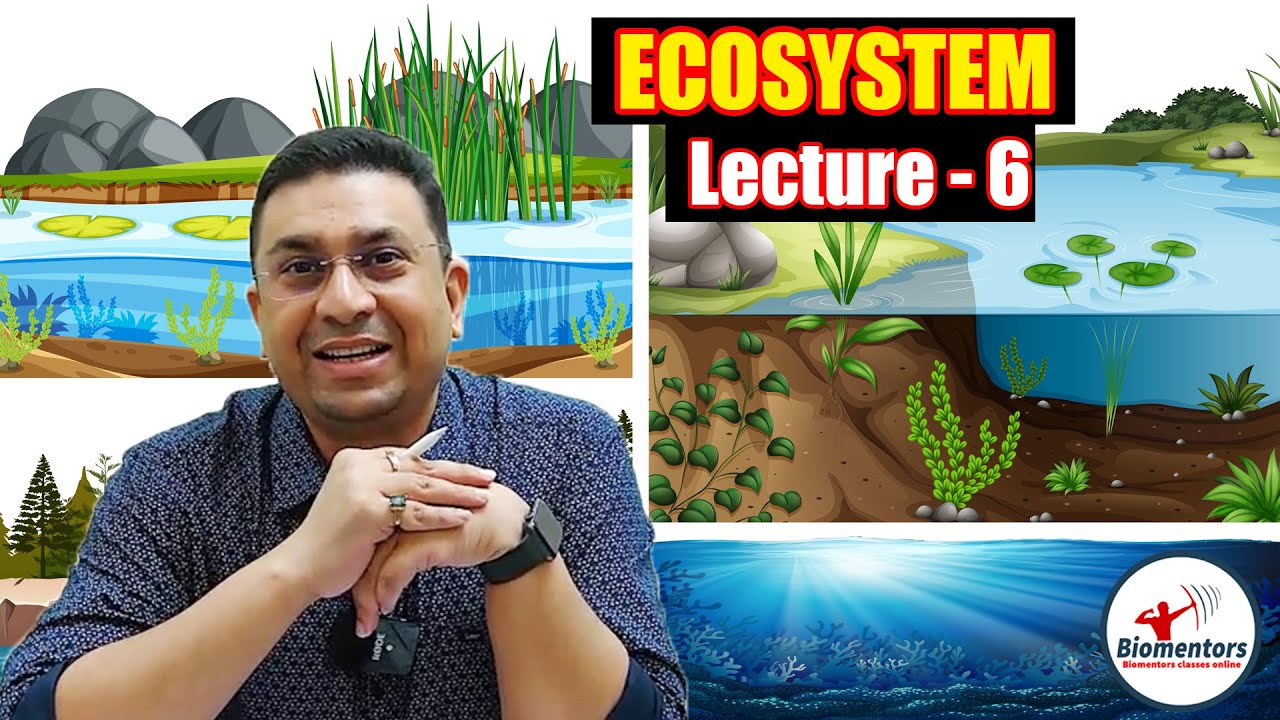 Ecosystem l Lecture 6 l Biology l NEET