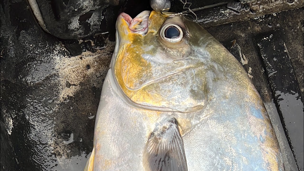 Pesca LETAL en el PEDRERO de OMOA