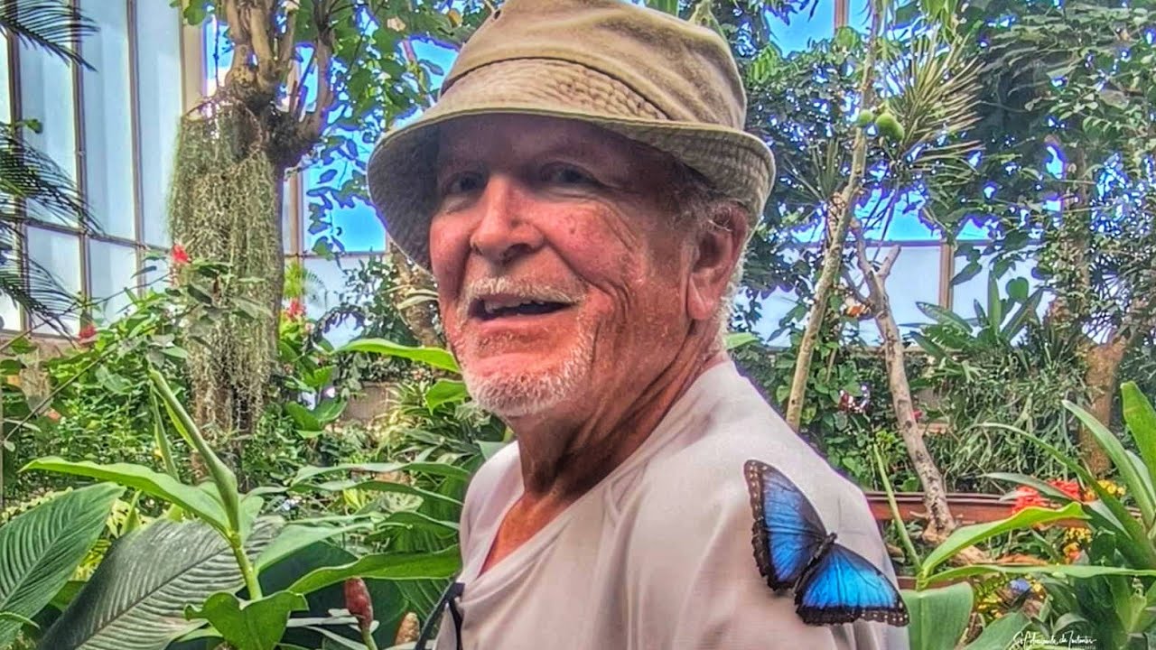 El Mariposario del Drago (Donde Los Colores Vuelan) Icod de Los Vinos Tenerife