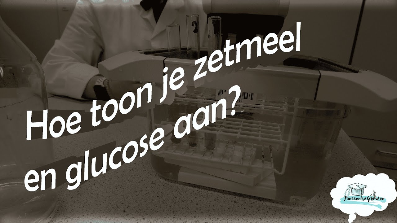 Glucose en Zetmeel aantonen | MHC