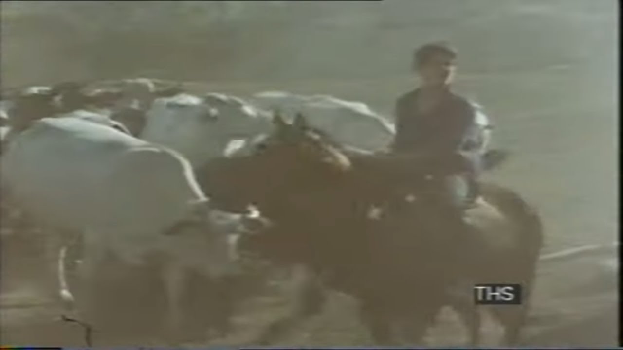 Life on a Kibbutz | Living on a Kibbutz | Israel | 1970s Kibbutz | Documentary report | 1972