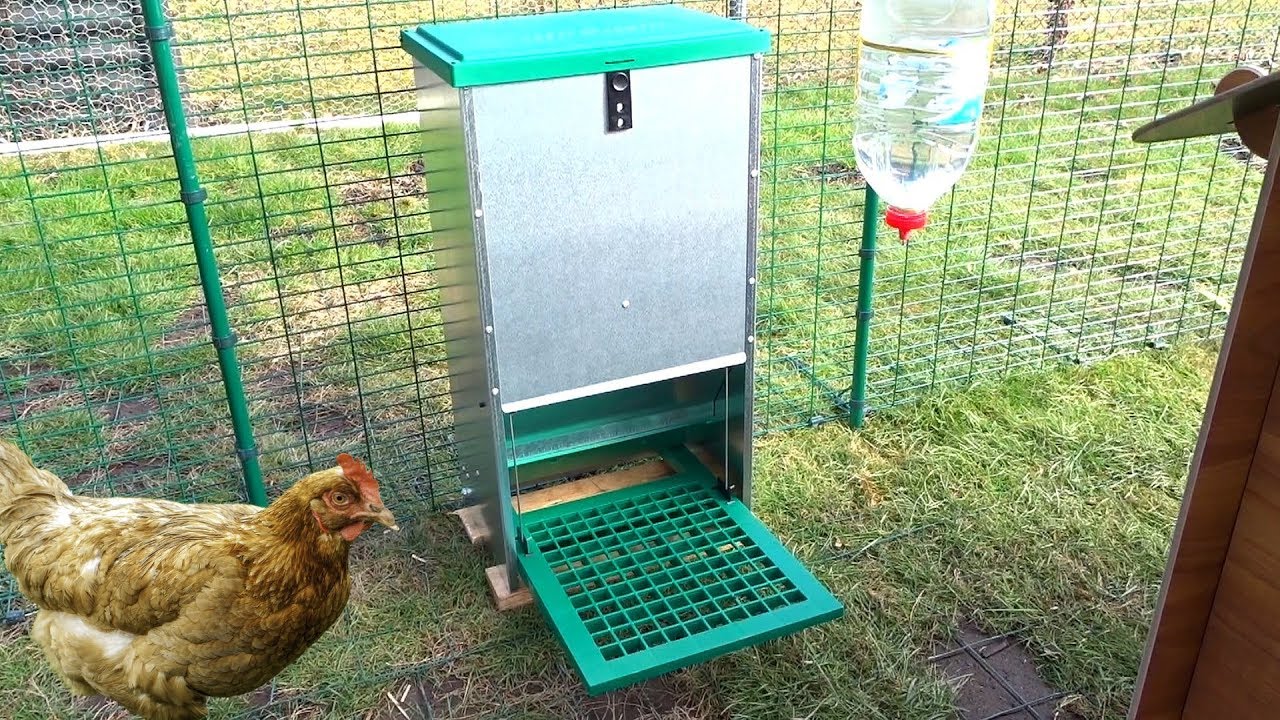 Podajnik anty-pestowy, 20 KG Prezentacja