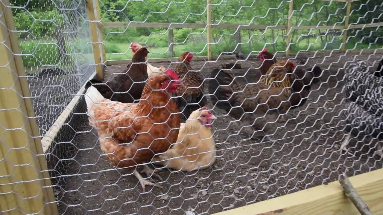Hawlemont Agricultural Program