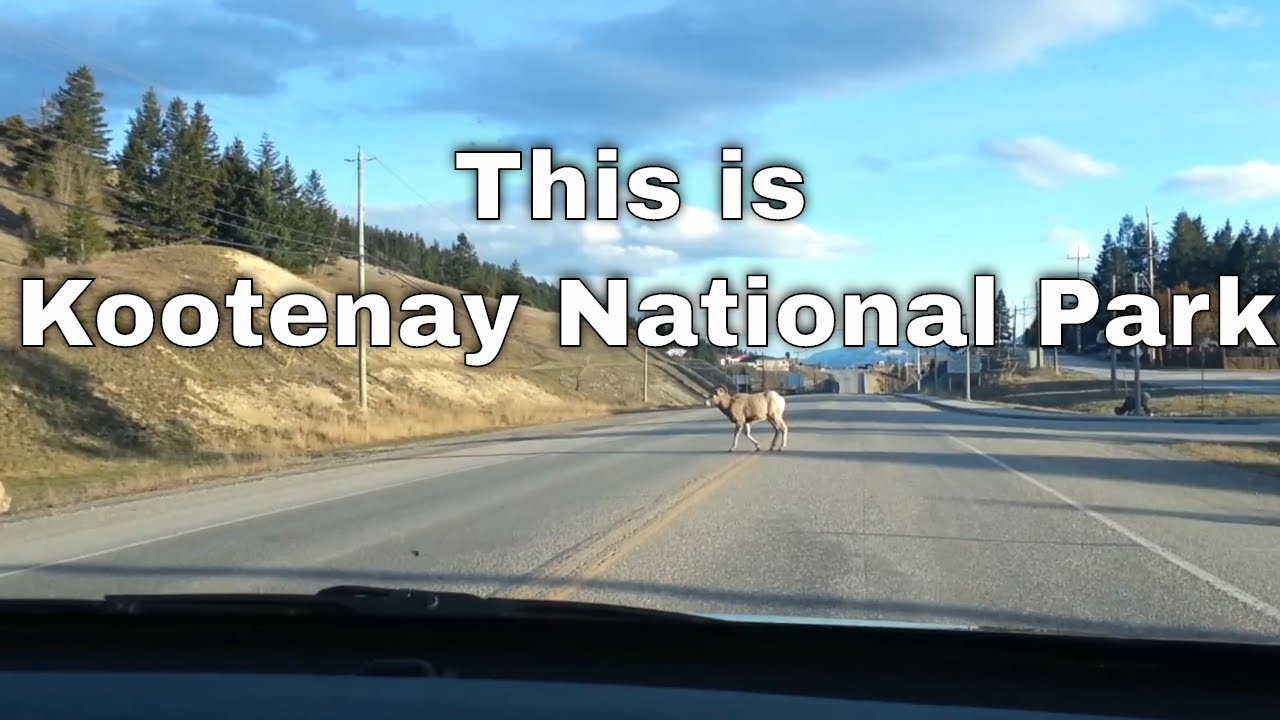 A drive through Kootenay National Park, BC CANADA