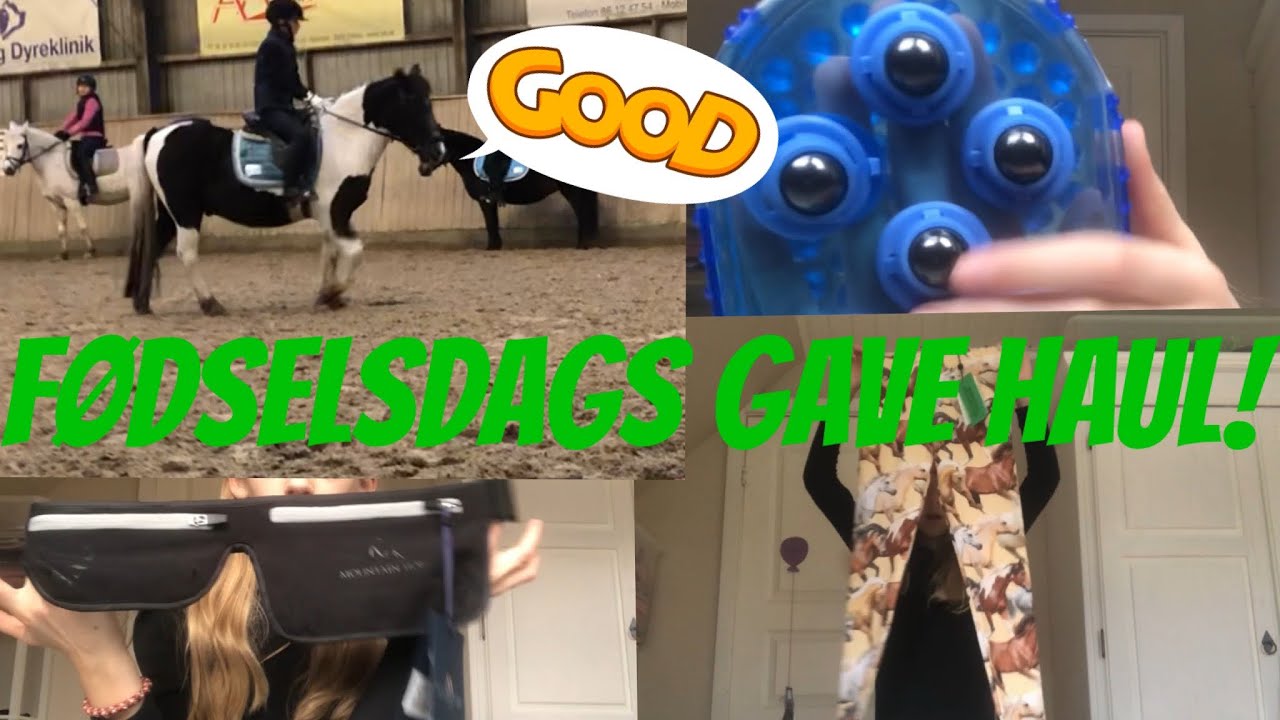 Fødselsdags haul (kun heste ting;)