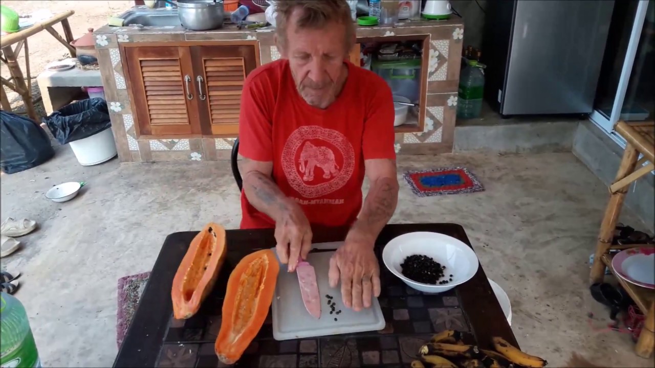 Donner a manger aux canards