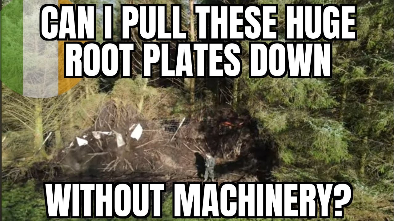 ep13. Using a Flipflop Winch to Pull Over Fallen Tree Root Plates
